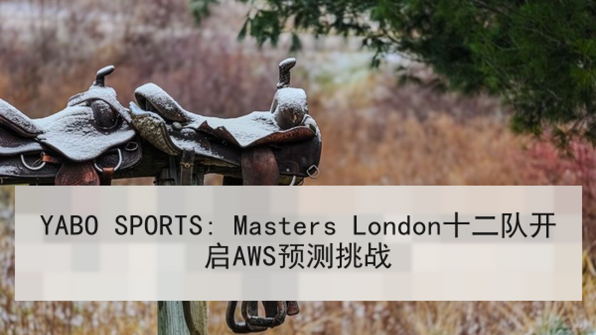 YABO SPORTS: Masters London十二队开启AWS预测挑战