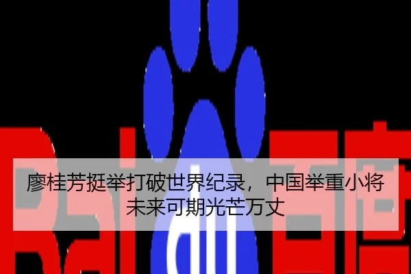 liao-gui-fang-ting-ju-da-po-shi-jie-ji-lu-zhong-guo-ju-zhong-xiao-jiang-wei-lai-ke-qi-guang-mang-wan-zhang-2-852.jpg